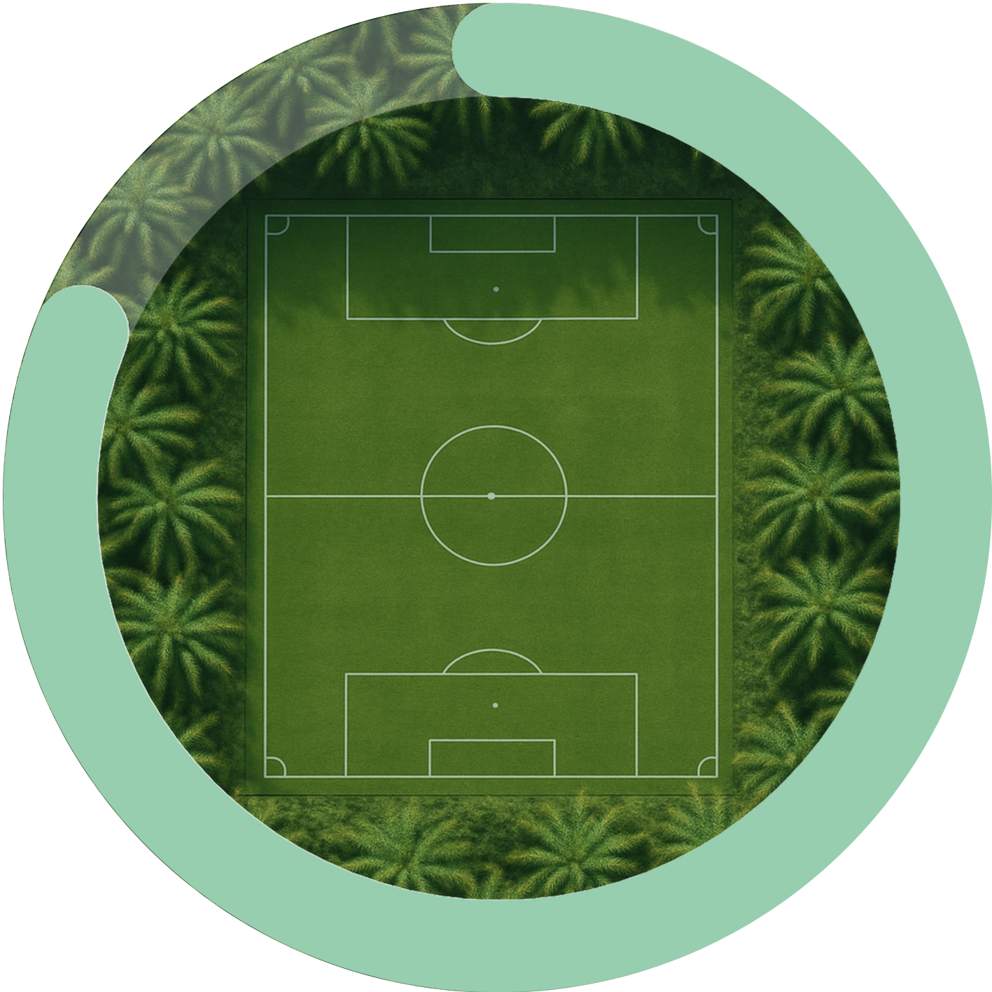 21 000 Football fields